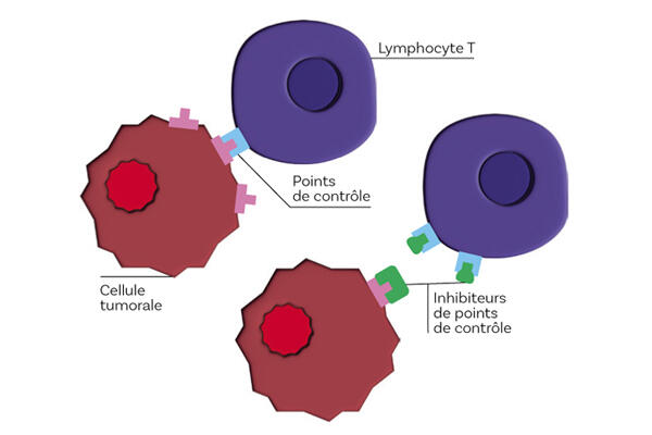 Titre de l'image